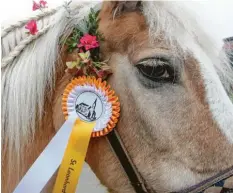  ??  ?? Auch wenn es nur neun Teilnehmer waren: Jeder erhielt nach der Segnung eine Rosette mit einem Bild der Kirche und der Aufschrift „St. Leonhard Echlishaus­en“.