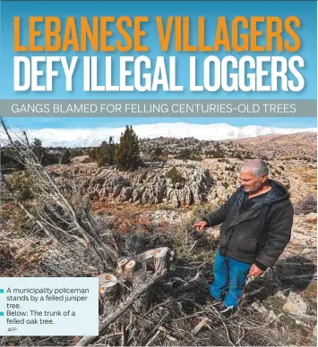  ?? AFP ?? ■ A municipali­ty policeman stands by a felled juniper tree.