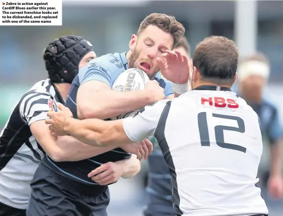  ??  ?? > Zebre in action against Cardiff Blues earlier this year. The current franchise looks set to be disbanded, and replaced with one of the same name