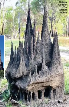  ??  ?? Natural wonder: The termite mound