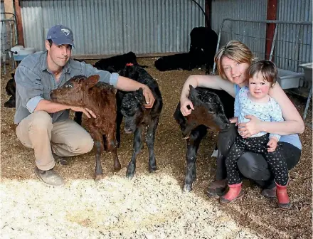  ?? KATRINA TANIRAU ?? Boaz, Han and Emma Rayhin have cuddles with the calves.