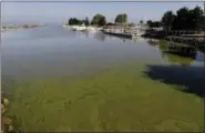  ?? PAUL SANCYA — THE ASSOCIATED PRESS FILE ?? Algae floats in the water at the Maumee Bay State Park marina in 2017 in Lake Erie in Oregon, Ohio.