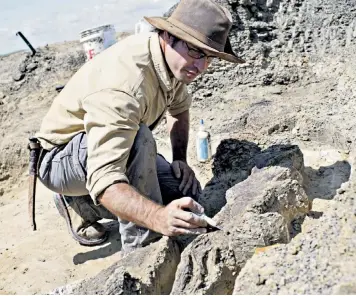  ?? ?? Robert Depalma working at an archaeolog­ical site at the Tanis dinosaur fossil site in North Dakota