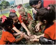  ?? PARA LA NATURALEZA ?? Volunteers with Para la Naturaleza in Puerto Rico can help plant trees or monitor sea turtle nests.