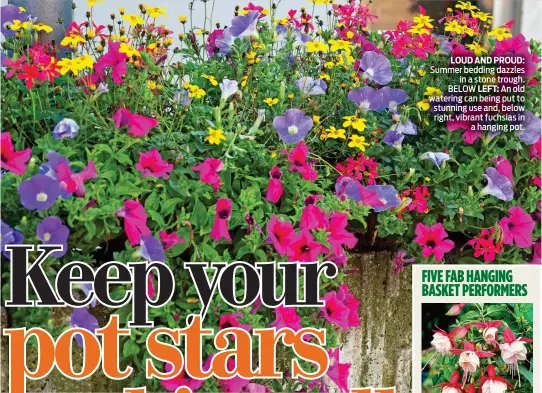  ??  ?? LOUD AND PROUD:
Summer bedding dazzles in a stone trough. BELOW LEFT: An old watering can being put to stunning use and, below right, vibrant fuchsias in a hanging pot.