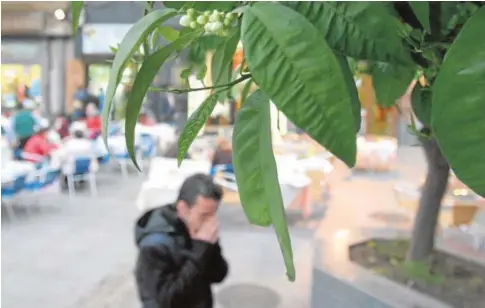  ?? RAFAEL CARMONA ?? Un joven se suena la nariz en la plaza de Las Tendillas, delante de un árbol