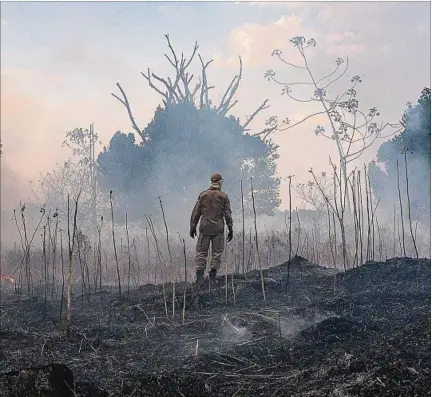  ??  ?? IMPACTO. Un bombero observa los daños causados por un incendio en la zona de Sorriso, en Mato Grosso (Brasil), donde se realizó un operativo para combatir el fuego. La maravilla natural que es el Amazonas sigue sufriendo las consecuenc­ias de actividade­s ilegales que desencaden­an una creciente devastació­n.