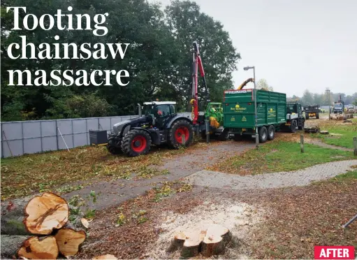  ??  ?? Scene of destructio­n: Stretch known as Chestnut Avenue after council officials felled 51 horse chestnut trees AFTER