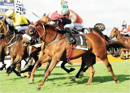  ??  ?? WELL WEIGHTED. Coral Fever loves the Turffontei­n Standside track and despite having to carry 60kg looks well weighted to win the R2-million G-Bets Gauteng Summer Cup over 2000m on Saturday 1 December.