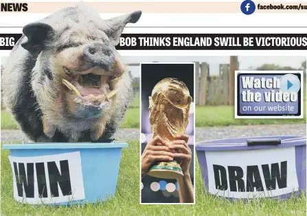  ??  ?? Big Bob thinks England will make a meal of Panama in tomorrow’s World Cup clash – or is he being a bit rash-er?