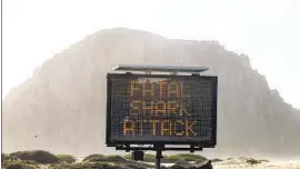  ?? David Middlecamp San Luis Obispo Tribune ?? BEACHGOERS in Morro Bay are urged to stay out of the water after a deadly shark attack Friday morning. Authoritie­s say visitors may still use the shore.