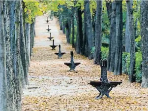  ?? LUIS VINAGRE/GETTY ?? Parque del Retiro de Madrid, ciudad escenario de la novela de Malpartida