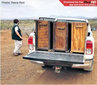  ?? Photos: Reece Reid ?? The boxes the vultures were transporte­d in from Camperdown arrive at the release site
