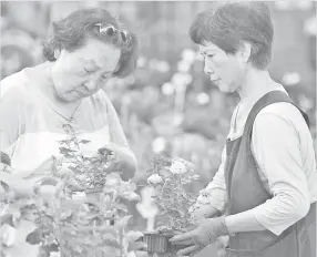  ?? — Gambar APF ?? TARIK PELANGGAN: Seorang pelanggan (kiri) melihat bunga untuk dijual di pasar bunga di Taipei.