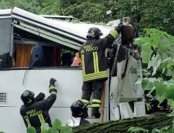  ??  ?? I Vigili del Fuoco mentre liberano il pullman dal grosso tiglio