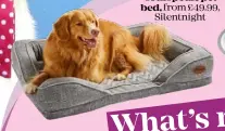  ??  ?? Orthopedic pet bed, from £49.99, Silentnigh­t