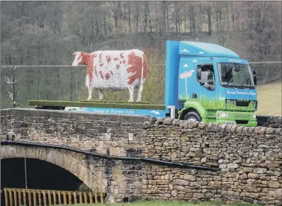  ?? PICTURE: CHARLOTTE GRAHAM. ?? BIG IMPRESSION: The steel sculpture of the Craven Heifer touring the county on the back of a lorry.