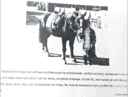  ??  ?? Misleading adverts for the horses were placed in publicatio­ns such as Horse and Hound