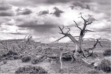  ??  ?? “Arches Rainstorm” by Frank Dobrushken.