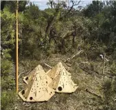  ?? ?? The flat-pack pods are secured to the ground using biodegrada­ble tent pegs