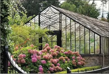  ??  ?? Keep them toasty: A gently heated greenhouse is the best place to winter tender plants