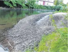  ?? FOTO: PRIVAT ?? Das Treibholz in der Donau in Zwiefalten­dorf macht das Ein- und Aussteigen aus dem Boot schwierig. Am kommenden Montag soll das Material entfernt werden.