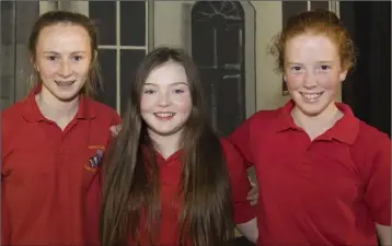  ??  ?? Jane Rossiter, Niamh Colfer and Siobhán Rossiter were representi­ng Bannow-Ballymitty.