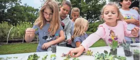  ??  ?? A group of girls participat­e in the “Build Your Own Terrarium” station at the Strong GIRL Fest. ARIEL COBBERT / THE COMMERCIAL APPEAL