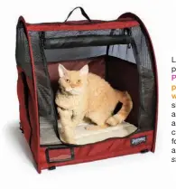  ?? ?? Lightweigh­t and portable, Sturdi Pop-Up Kennels are perfect for travelling
with your cat! Three sizes are available, no assembly required, and a roomy carrying case is included for food, water, and essentials. sturdiprod­ucts.com