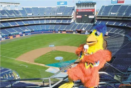  ?? LENNY IGNELZI AP ?? The San Diego Chicken was always entertaini­ng, even when the Padres weren’t. He roamed around the stadium, making everyone laugh.