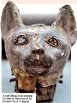  ??  ?? A cat’s head was among the items discovered in the key haul in Egypt