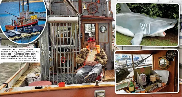 ‘I needed a bigger marina... now I may need a bigger shark’ | Daily ...