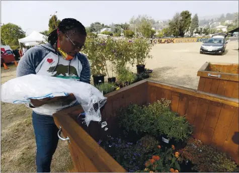  ?? JANE TYSKA STAFF PHOTOGRAPH­ER ?? Carol Johnson, executive director of the East Oakland Black Cultural Zone Collaborat­ive, waters plants with ice at the Zone. Johnson wants to change the negative impression of East Oakland and make sure there’s a balance between a thriving Black community and gentrifica­tion.