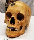  ??  ?? Analysed: Henry’s skull