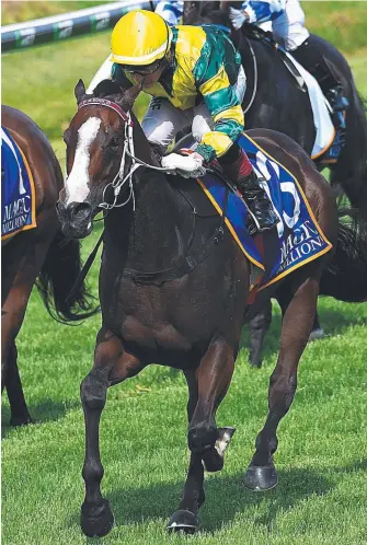  ?? Picture: AAP IMAGE ?? Jockey Jeff Lloyd rides the Matthew Dunn-trained Care To Think to victory at Doomben on Saturday. He has another four rides for the trainer at Murwillumb­ah today.