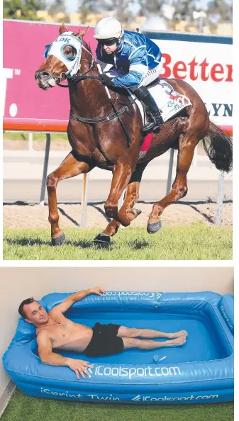  ?? Picture: GLENN HAMPSON ?? Leading jockey Jason Taylor on the track (top) and after it (above).