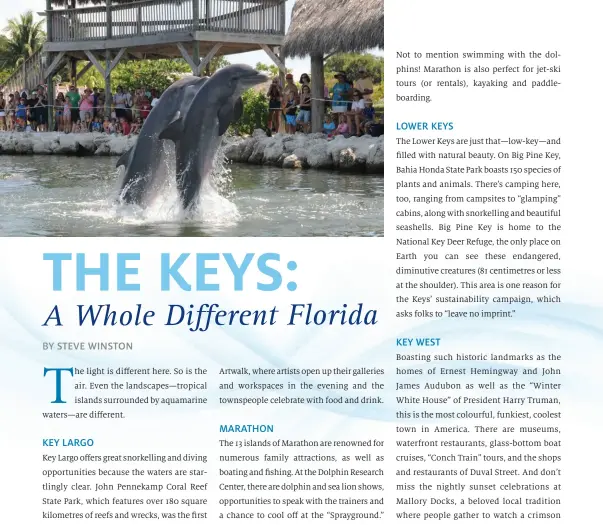  ?? Bob Care/florida Keys News Bureau ?? TOP: Dolphin Research Center provides interactiv­e opportunit­ies to learn about intelligen­t mammals. Dolphin Research Center LEFT: Explore the coral reef in the Florida Keys National Marine Sanctuary off Key Largo.