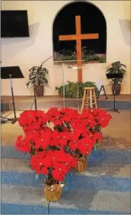  ?? PHOTOS BY BILL RETTEW JR. — FOR DIGITAL FIRST MEDIA ?? The church altar at Crossroads Community Church in Naples, Fla., is decorated with poinsettia­s for Christmas.