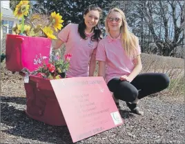  ?? SUEANN MUSICK/THE NEWS ?? Sarah Higdon of New Glasgow and Nina Davey of Pictou paid a surprise visit to the home of New Glasgow’s mayor Saturday with a gift in hand. The toilets are part of a fundraiser by Jeana’s Girls, which is raising money for their Relay for Life team.