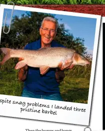  ??  ?? Despite snag problems I landed three pristine barbel