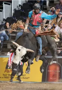  ??  ?? Bull riders like Alisson de Souza from Brazil compete in the PBR Pro T ouring Division at the Germain Arena in Estero July 27- 28.