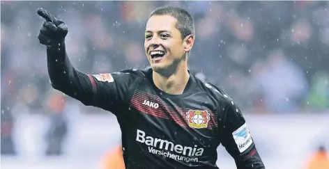  ?? FOTO: IMAGO ?? Balsam für die Bayer-Seele: Chicharito sprühte gegen Frankfurt vor Einsatzfre­ude und war nicht nur wegen seiner beiden Tore der Mann des Spiels.