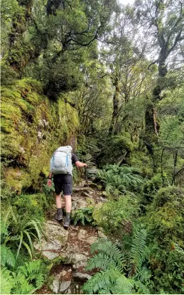  ?? Photo by Deborah Gedye, St Heliers, Auckland. ?? Below right: Tramping on a recent three day hike of the Routeburn Track with Ultimate Hikes NZ.