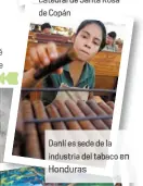  ??  ?? Danlí es sede de la industria del tabaco en Honduras