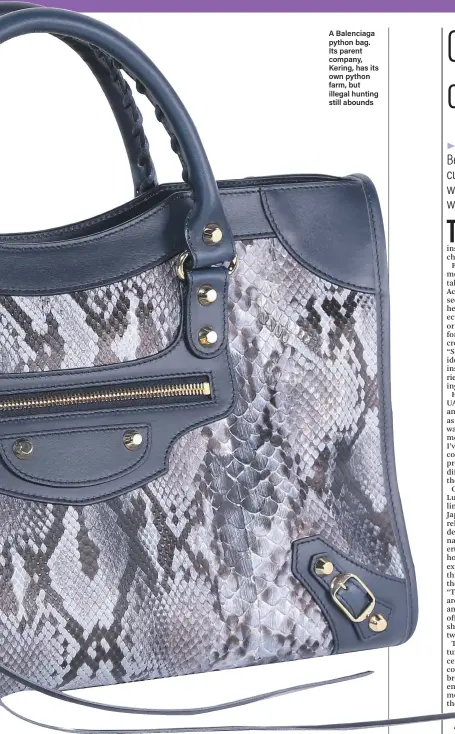  ??  ?? A Balenciaga python bag. Its parent company, Kering, has its own python farm, but illegal hunting still abounds
