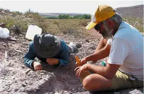  ?? — AFP ?? Delicate task: Investigat­ors working to extract the remains of the three dinosaurs in the Argentine province of Neuquen.