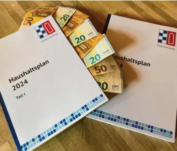  ?? Foto: Rebekka Jakob ?? Die Stadt Günzburg hat ihren Haushalt 2024 mit einem Volumen von 72,6 Millionen Euro beschlosse­n.