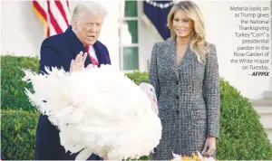  ?? AFPPIX ?? Melania looks on as Trump gives the National Thanksgivi­ng Turkey “Corn” a
presidenti­al pardon in the Rose Garden of the White House on Tuesday.
–