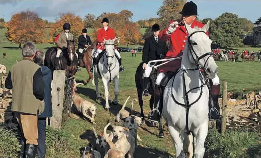  ?? MATT CARDY / GETTY ?? Tradición. Se estima que unas 45.000 personas participan regularmen­te en la caza
del zorro, y un cuarto de millón el día de San Esteban