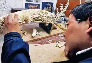  ?? YANG YAO / CHINA DAILY ?? An artist carves a piece of ivory at the Beijing Ivory Carving Factory in 2013.